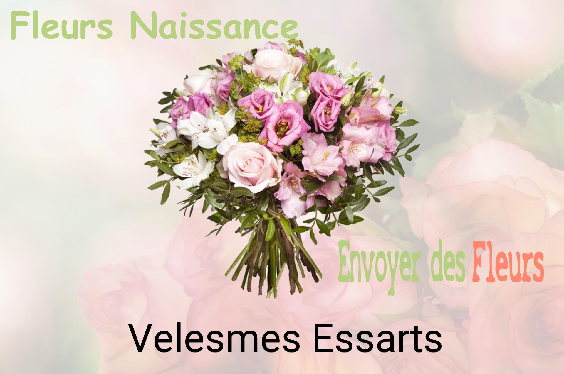 Bouquet de fleurs de naissance livré à Velesmes-Essarts